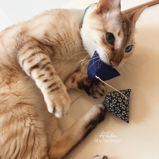 jouet pour chat canne à pêche personnalisée - cataire valériane