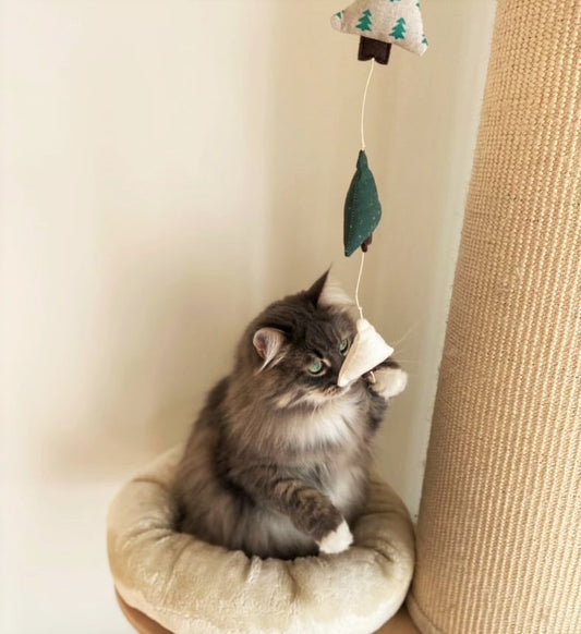 canne à pêche pour chat avec 3 petits sapins de noël garnis de cataire et/ou de valériane