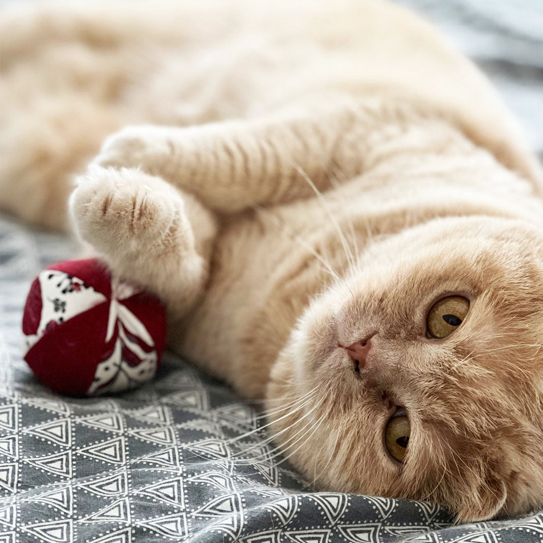 jouet balle pour chat à personnalisé en tissu garnie d'herbe à chat et/ou de valériane - Azure et Gaia