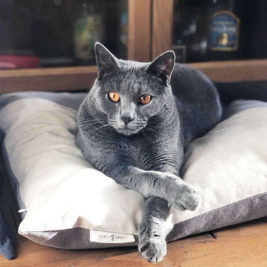 Coussin pour chat moelleux et déhoussable, fait main, Made in France
