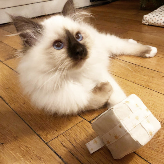 Jouet cadeau de noël pour chat en tissu - Garnie d'herbe à chat ou de valériane - Fait-main - Made in France - Azure et Gaia