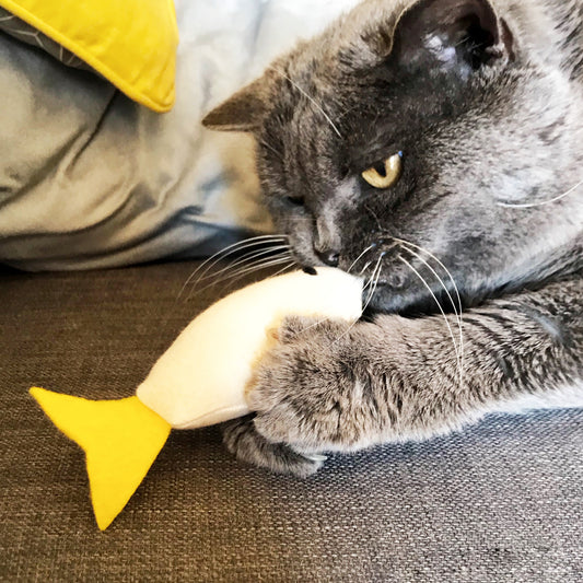 jouet pour chat poisson en feutrine, fait-main en France, garni de cataire et valériane