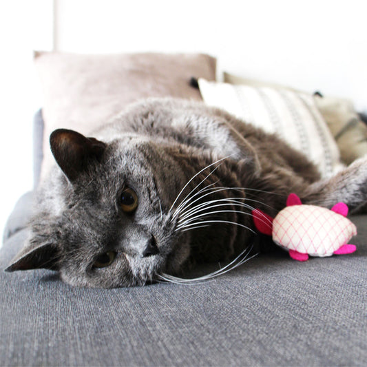 Jouet pour chat tortue en feutrine garni de cataire et de valériane, Azure et Gaia