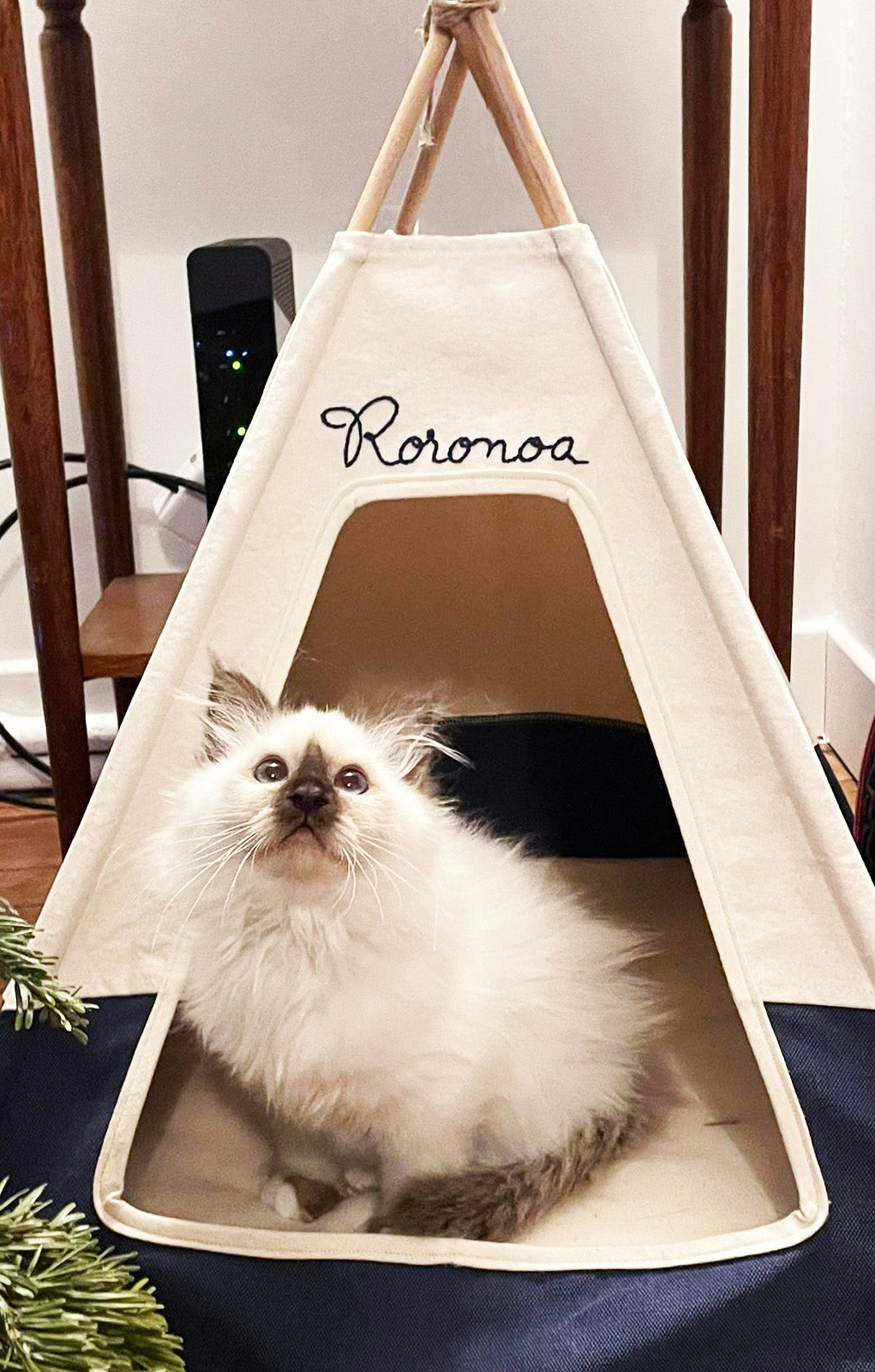 Tipi pour chat personnalisé, prénom brodé à la main, fabriqué en france - Roronoa