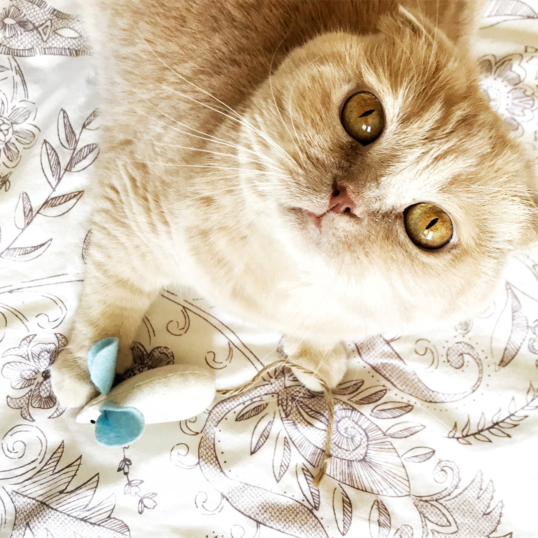 Jouet souris pour chat en tissu et feutrine - Fait-main - Made in France - Azure et Gaia
